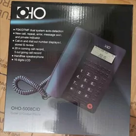 Domaşnyý telefon