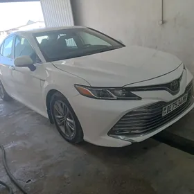 Toyota Camry 2019