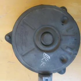 lopos motorçik korollo.