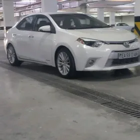 Toyota Corolla 2014