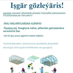 Teplisa işgär gerek