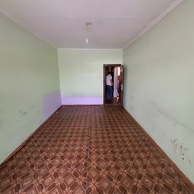Satlyk jaýlar