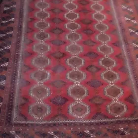 палас