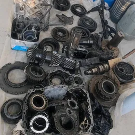 41 zf karopga
