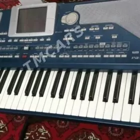 KORG PA 800