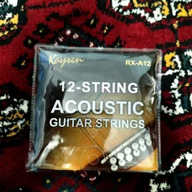 12 gitara kiriş струна