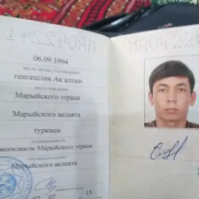 pasport tapdym