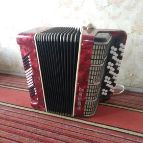 баян