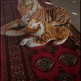 Tigr