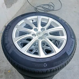 17 disga pakrysga