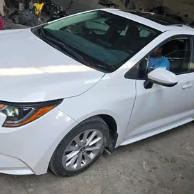 Toyota Corolla 2022