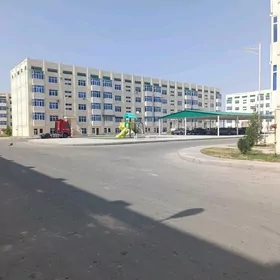 елитка