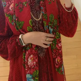 koynek kastyun