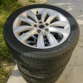 kia diska ARGINAL
