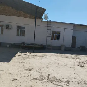 žilpasolok