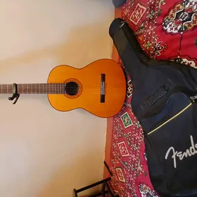 Yamaha C70 gitara