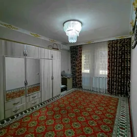 Arenda jay Mir 7/3