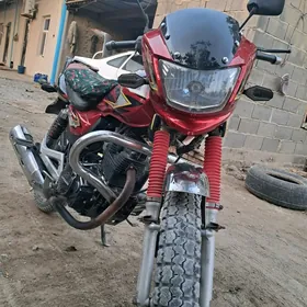 Fekon FK150-8G 2013