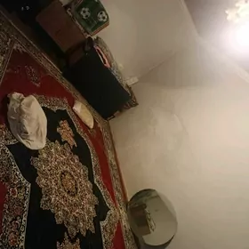 Dasaguz şaherde jay