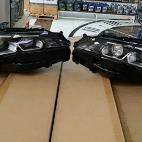2020 Avalon farasy taze paket