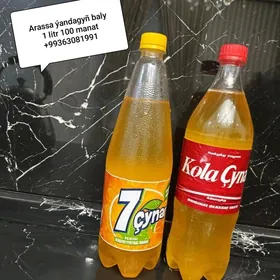 aryñ baly
