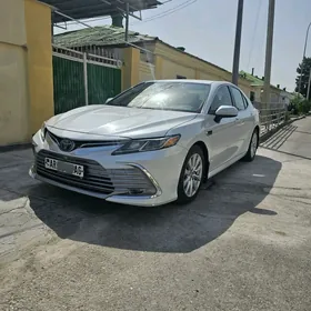 Toyota Camry 2019
