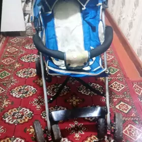 caga kalyaska