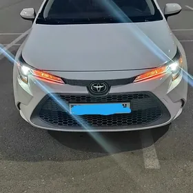 Toyota Corolla 2021