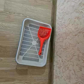 Лоток