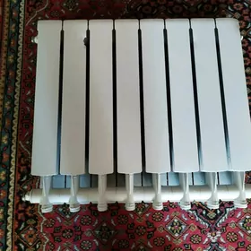 ataplenya