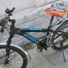 Ttigir 24