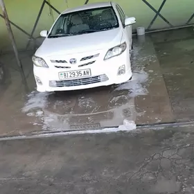 Toyota Corolla 2010