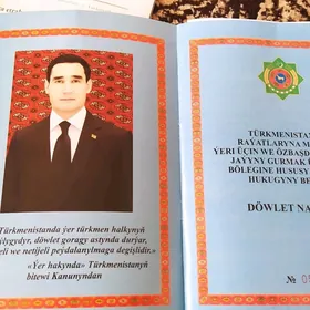 Turkmen howli