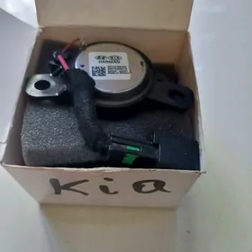 Kia forte gapy pishalka