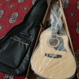 Ekvelayzerli gitara