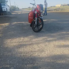 Fekon FK150-8G 2017