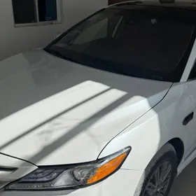 Toyota Camry 2020