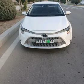 Toyota Corolla 2020