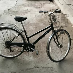 Ýaponka Tigir 27