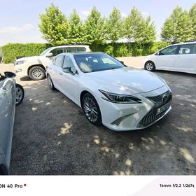 Lexus ES 350 2019