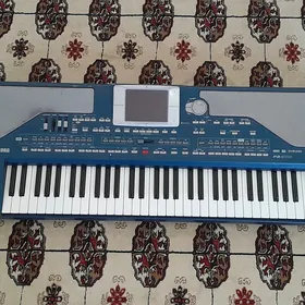korg pa800