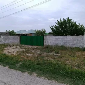 bagyr dasgala