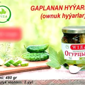 Gyssagly Optowik gerek