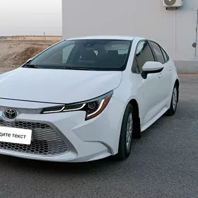 Toyota Corolla 2020