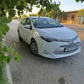 Toyota Corolla 2017