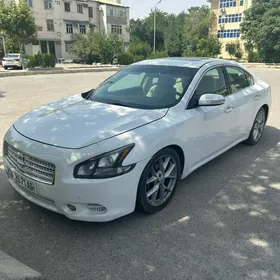 Nissan Maxima 2010