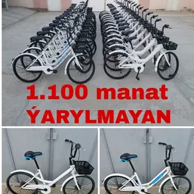 YAPON ÝAPON TIGIRLER TIGIR