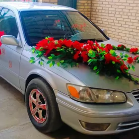 Toyota Camry 2000