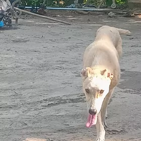 it