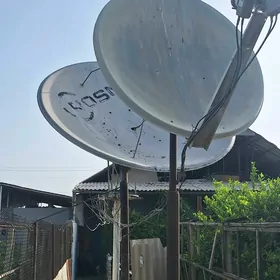 Antenlar